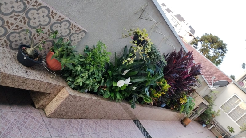 Casa de condomínio à venda Tingui com 159m² e 4 quartos por R$ 599.000 - 1376128052-img-20230630-wa0038.jpg