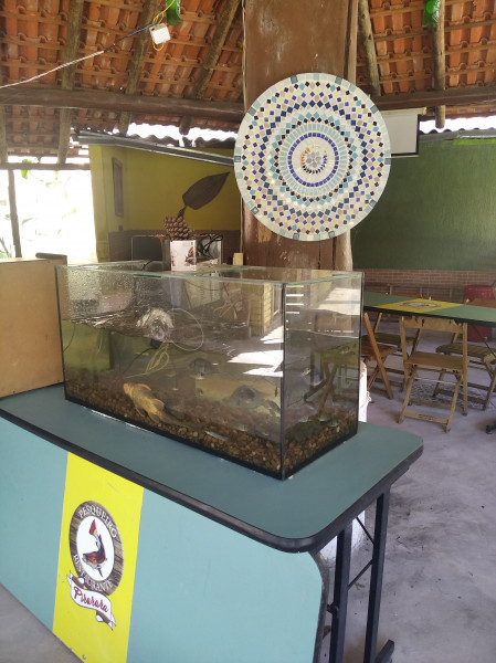 Sítio à venda Centro com 22400m² e 3 quartos por R$ 850.000 - 1349138700-img-20230514-113930.jpg