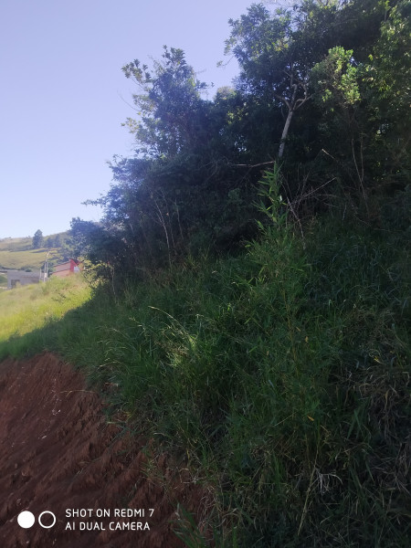 Terreno à venda Socorro com 253m² e 1 quarto por R$ 95.000 - 261059201-img-20210503-135216.jpg