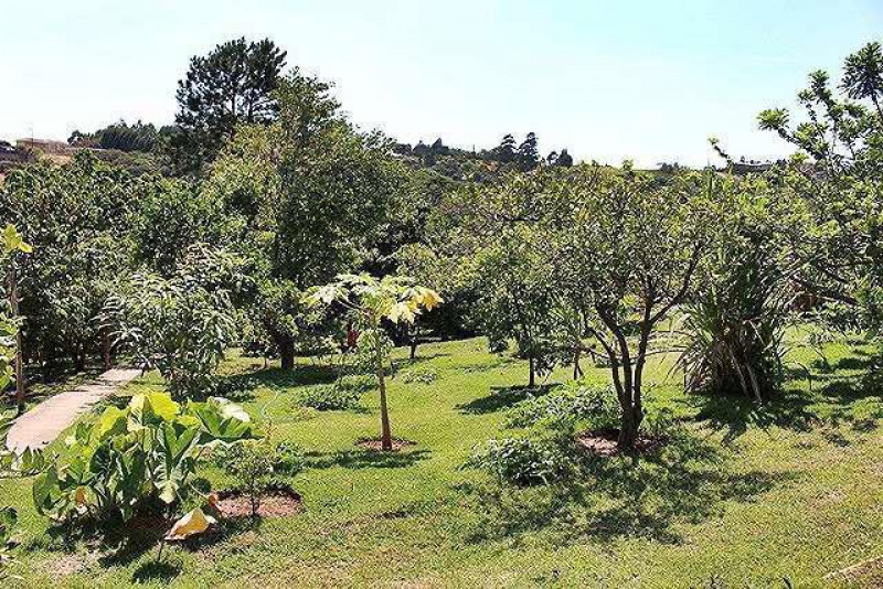 Casa à venda centro com 450m² e 6 quartos por R$ 1.850.000 - 1175529770-photo-2023-07-24-10-23-35-17.jpg