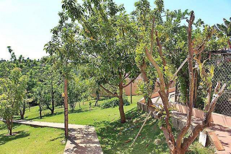 Casa à venda centro com 450m² e 6 quartos por R$ 1.850.000 - 901814269-photo-2023-07-24-10-23-35-16.jpg