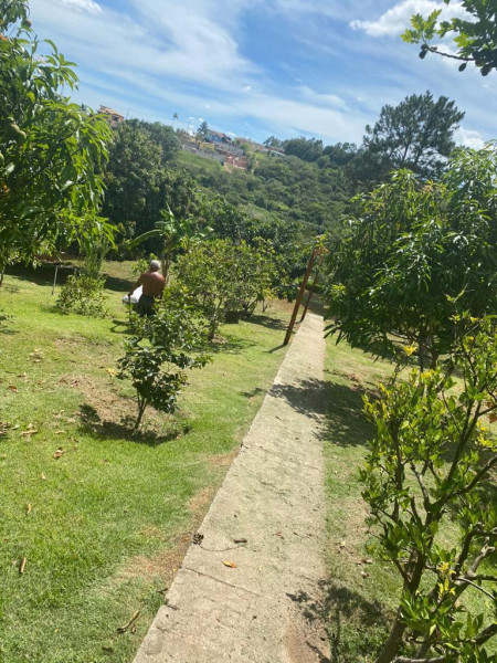 Casa à venda centro com 450m² e 6 quartos por R$ 1.850.000 - 957333677-photo-2023-07-24-10-23-35-20.jpg