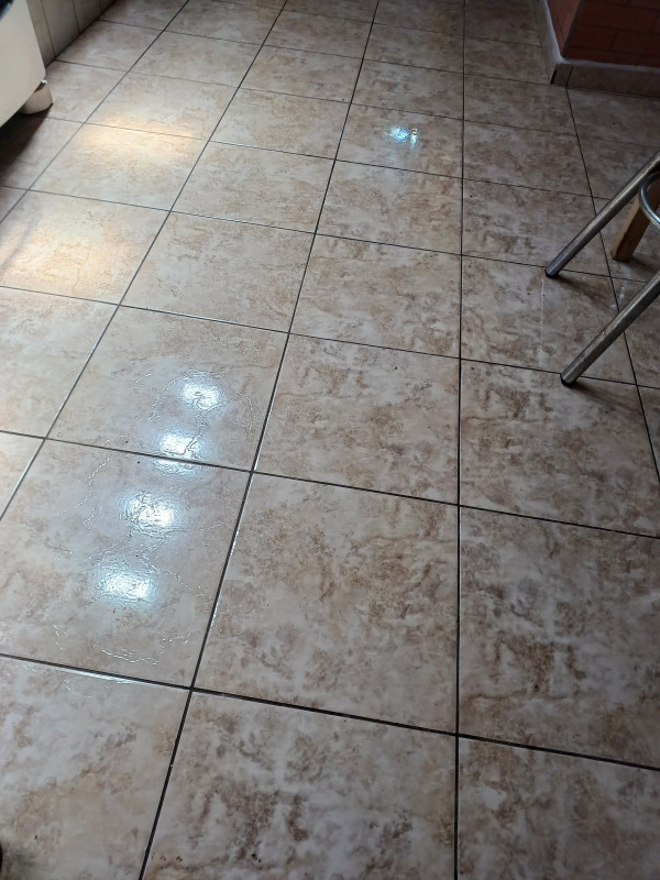 Casa à venda Vila Sabesp com 500m² e 5 quartos por R$ 220.000 - 1862524744-20230325-111110.jpg