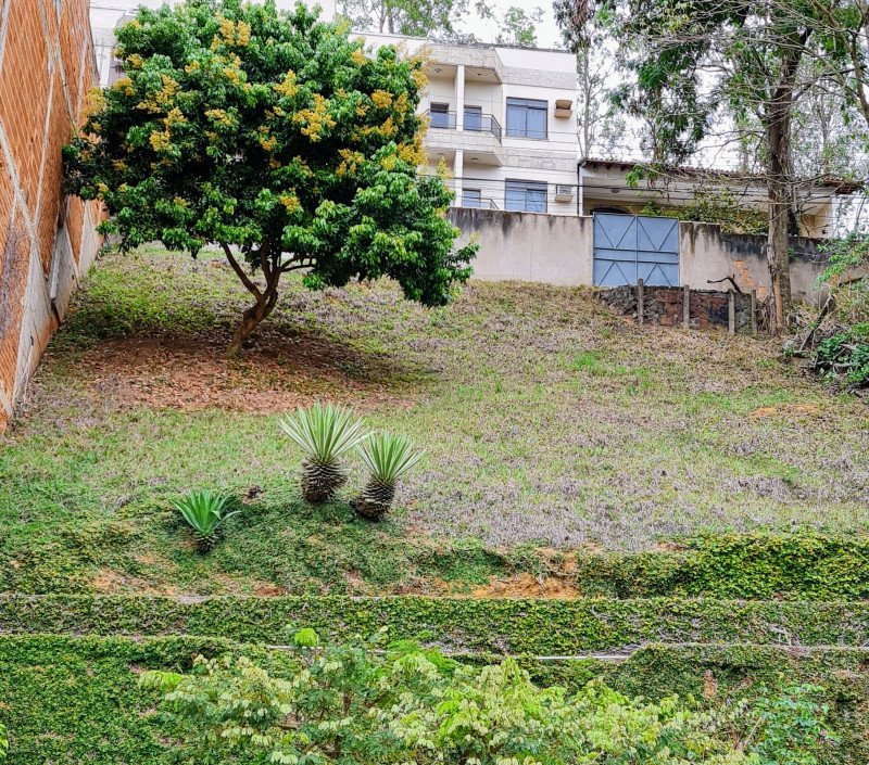 Terreno à venda Santa Rosa com 250m² e 1 quarto por R$ 320.000 - 244745441-20230906-1310062.jpg