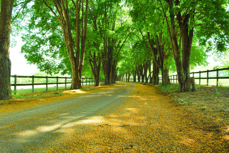 Terreno à venda Centro com 455m² e 1 quarto por R$ 300.000 - 1554383867-imagem-16.jpg