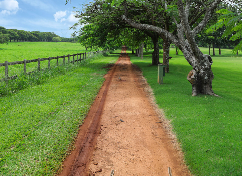 Terreno à venda Centro com 455m² e 1 quarto por R$ 300.000 - 1895121551-imagem-09.jpg