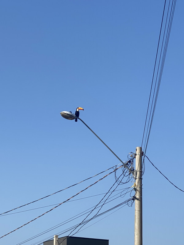 Terreno à venda Centro com 336m² e 1 quarto por R$ 230.000 - 698872583-img-3825.jpeg