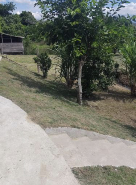 Casa à venda Centro com 750m² e 3 quartos por R$ 980.000 - 978326018-img-8157.jpeg