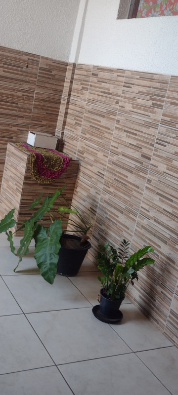 Casa à venda Jardim das Aroeiras com 250m² e 4 quartos por R$ 350.000 - 343033403-img-20230909-085802833.jpg