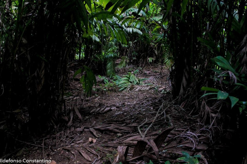 Sítio à venda Vargem Pequena com 84000m² e 1 quarto por R$ 8.400.000 - 1402671295-img-20210420-wa0025.jpg