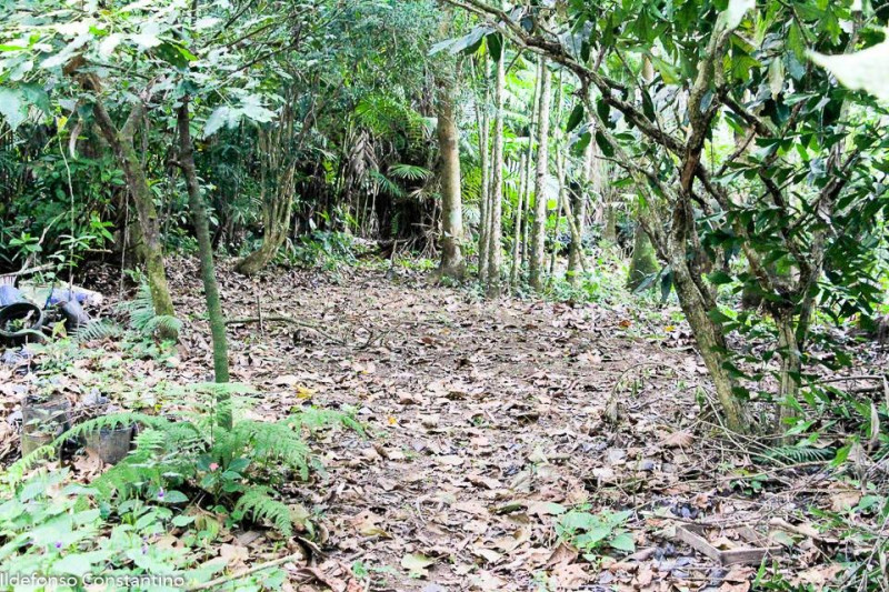 Sítio à venda Vargem Pequena com 84000m² e 1 quarto por R$ 8.400.000 - 647666378-img-20210420-wa0035.jpg