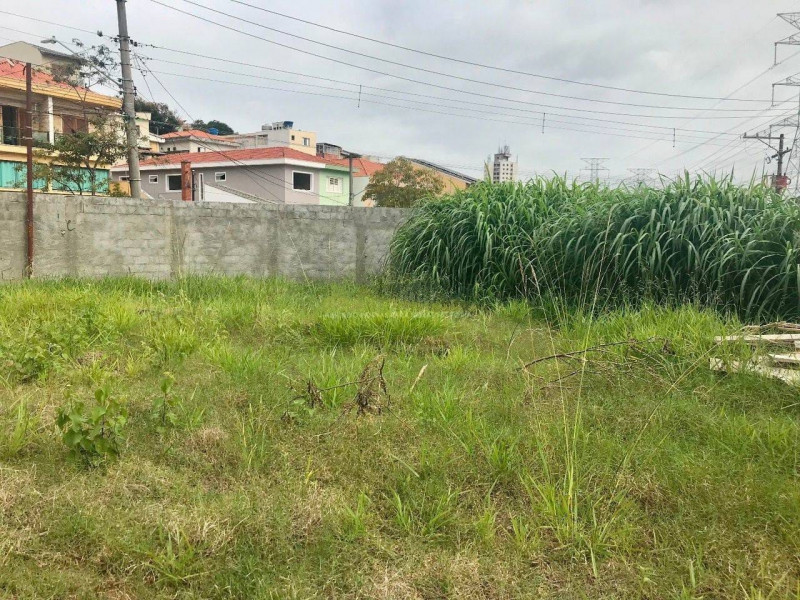 Terreno à venda Parque São Domingos com 325m² e 1 quarto por R$ 850.000 - 1325299786-whatsapp-image-2023-09-11-at-12.jpeg