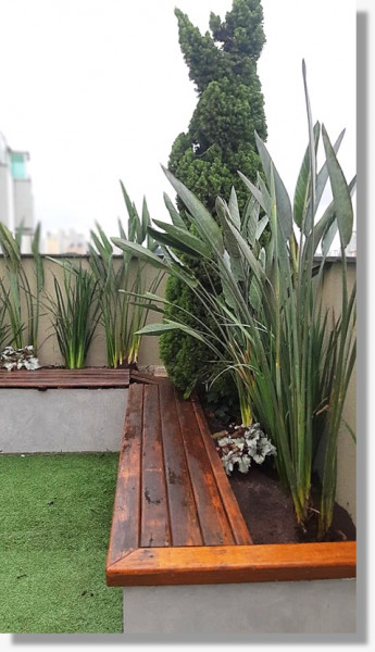 Cobertura à venda Vila Romero com 236m² e 3 quartos por R$ 1.350.000 - 1706041803-jardim.jpeg