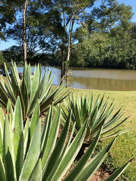 Terreno à venda Ouro fino com 800m² e 1 quarto por R$ 310.000 - 2108363253-whatsapp-image-2023-09-11-at-16.jpeg