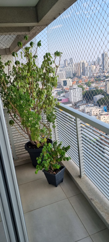 Studio à venda Centro com 32m² e 1 quarto por R$ 400.000 - 1382878544-20230910-154858.jpg