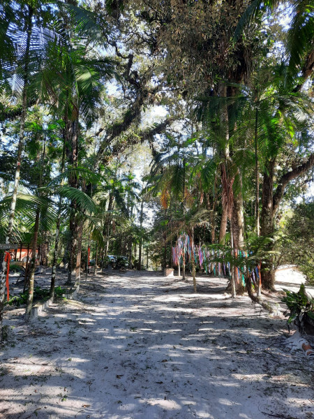 Sítio à venda Jardim Cel. com 20000m² e 9 quartos por R$ 870.000 - 1005332938-1000059256.jpg