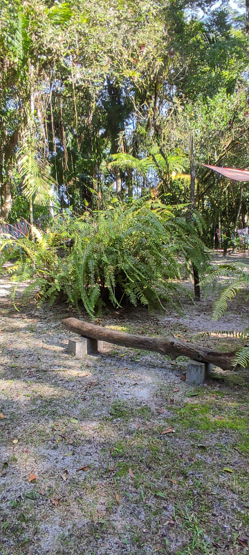 Sítio à venda Jardim Cel. com 20000m² e 9 quartos por R$ 870.000 - 1054161374-1000062514.jpg