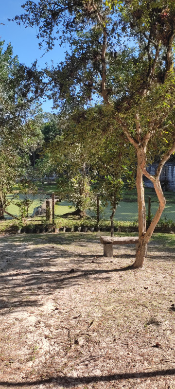 Sítio à venda Jardim Cel. com 20000m² e 9 quartos por R$ 870.000 - 1062365649-1000062475.jpg