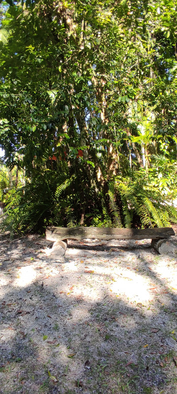 Sítio à venda Jardim Cel. com 20000m² e 9 quartos por R$ 870.000 - 1219597594-1000062463.jpg