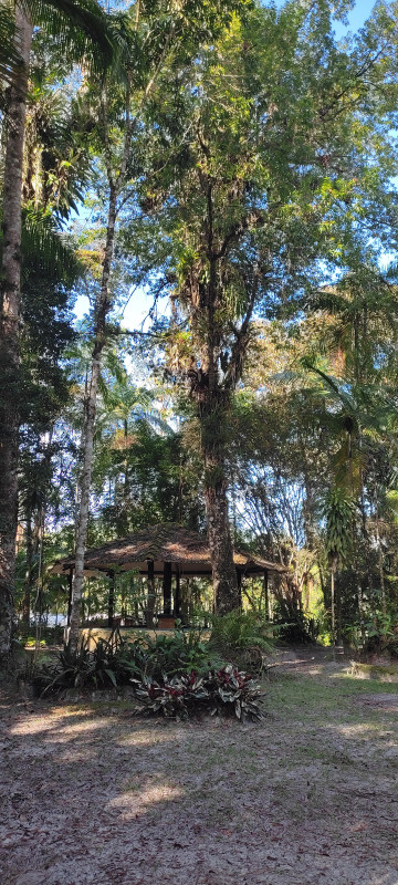 Sítio à venda Jardim Cel. com 20000m² e 9 quartos por R$ 870.000 - 1376524203-1000062485.jpg