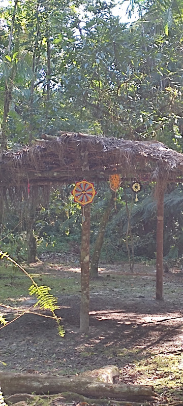 Sítio à venda Jardim Cel. com 20000m² e 9 quartos por R$ 870.000 - 1438086031-1000062459.jpg