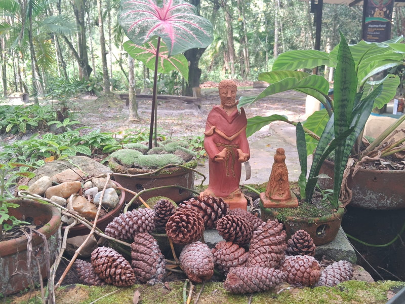 Sítio à venda Jardim Cel. com 20000m² e 9 quartos por R$ 870.000 - 1479624069-1000065308.jpg