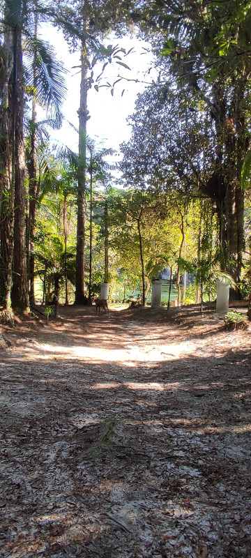 Sítio à venda Jardim Cel. com 20000m² e 9 quartos por R$ 870.000 - 182341051-1000062469.jpg