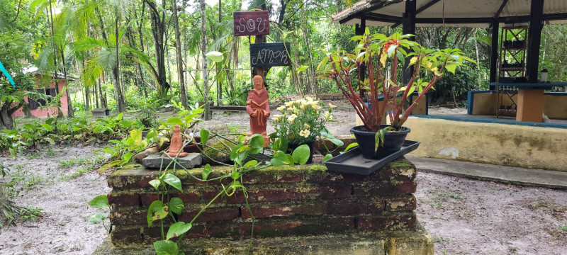 Sítio à venda Jardim Cel. com 20000m² e 9 quartos por R$ 870.000 - 545980625-1000058201.jpg