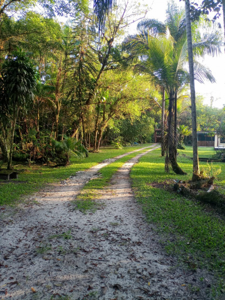 Sítio à venda Jardim Cel. com 20000m² e 9 quartos por R$ 870.000 - 842600157-1000060962.jpg