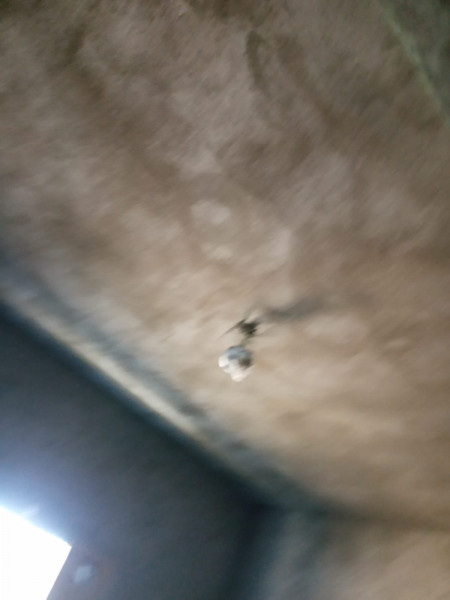 Casa à venda São João com 1000m² e 6 quartos por R$ 900.000 - 937178492-82059.jpg