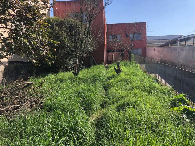 Casa à venda Vila Amelia com 480m² e 2 quartos por R$ 900.000 - 1054397758-img-20230823-wa0020.jpg