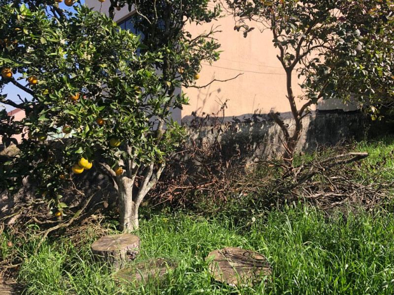 Casa à venda Vila Amelia com 480m² e 2 quartos por R$ 900.000 - 400998685-img-20230823-wa0019.jpg