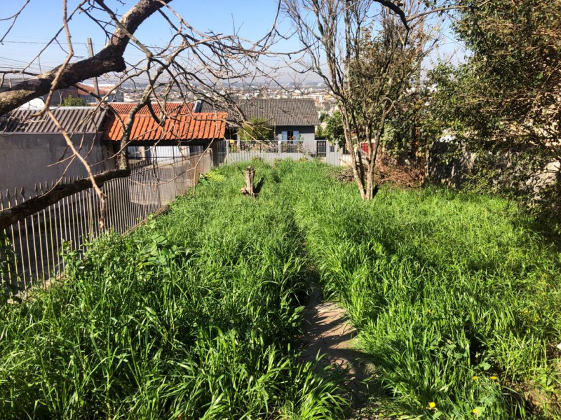 Casa à venda Vila Amelia com 480m² e 2 quartos por R$ 900.000 - 550540635-img-20230823-wa0017.jpg