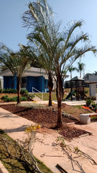 Terreno à venda Centro com 140m² e 1 quarto por R$ 38.000 - 533974820-img-20220806-wa0019-1.jpg