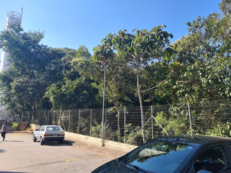 Apartamento à venda Lajeado com 54m² e 2 quartos por R$ 260.000 - 1759987543-d921653f-fc33-4bee-81ce-cc91a99f99a7.jpg