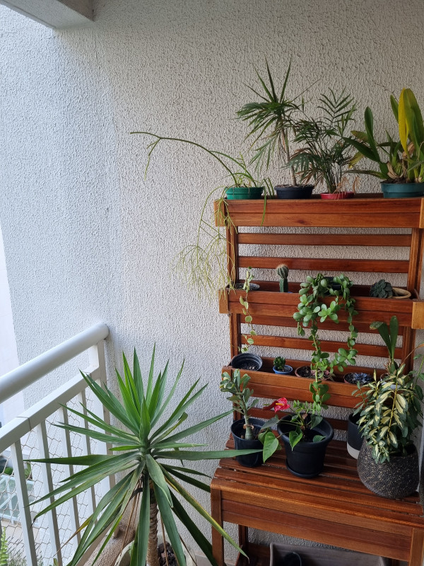 Apartamento à venda Parque Reboucas com 57m² e 2 quartos por R$ 395.000 - 741947226-20230913-163335.jpg