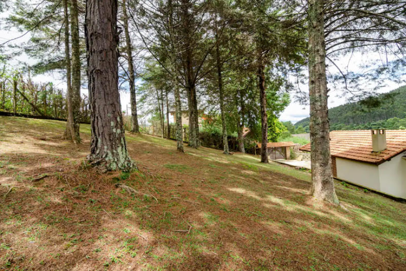 Casa à venda centro com 150m² e 3 quartos por R$ 3.350.000 - 740016765-quintal-parte-de-tras.png