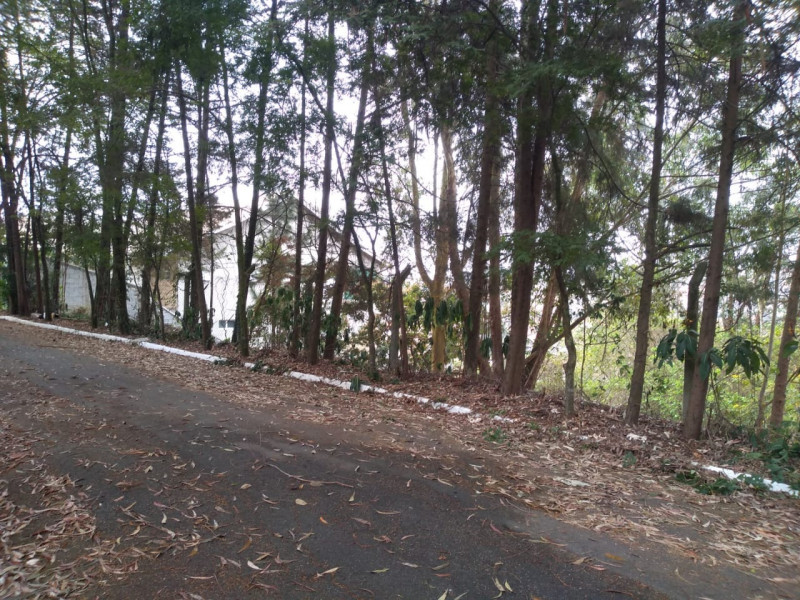 Terreno à venda Chácara Granja Velha com 4m² e 1 quarto por R$ 2.500.000 - 1135774121-2aa5efaf-d9ac-4376-8017-b06691d8c195.jpg