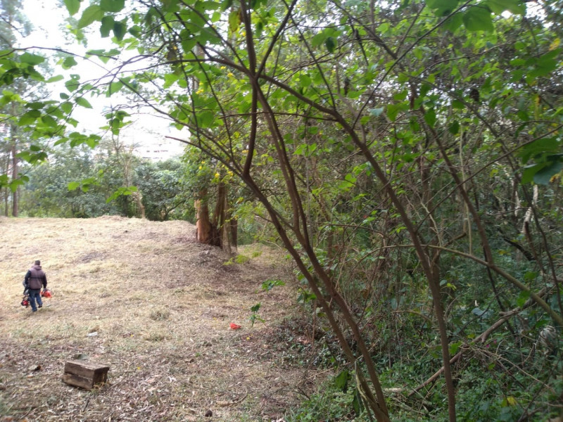 Terreno à venda Chácara Granja Velha com 4m² e 1 quarto por R$ 2.500.000 - 1239317532-b13cbc08-7960-4a38-8bd0-08f888e81374.jpg