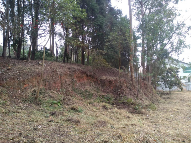 Terreno à venda Chácara Granja Velha com 4m² e 1 quarto por R$ 2.500.000 - 1377476540-9a82cb8c-14d1-4a8b-bf3a-54a299531f18.jpg