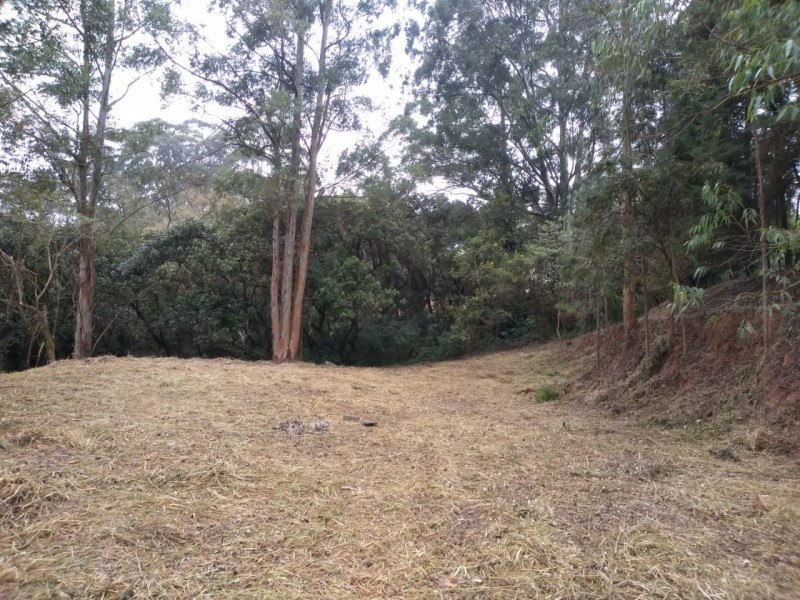 Terreno à venda Chácara Granja Velha com 4m² e 1 quarto por R$ 2.500.000 - 156024874-352e70e6-3271-4a4f-aaaf-1080e83497f8.jpg