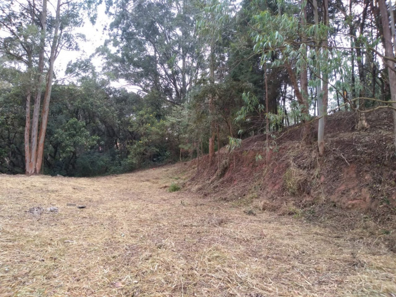 Terreno à venda Chácara Granja Velha com 4m² e 1 quarto por R$ 2.500.000 - 870265752-2c5c2337-2ba2-4cc9-8bc6-e395d997c2dd.jpg
