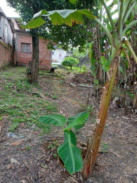 Casa à venda Adrianópolis com 120m² e 3 quartos por R$ 800.000 - 125390289-casa-12.jpg