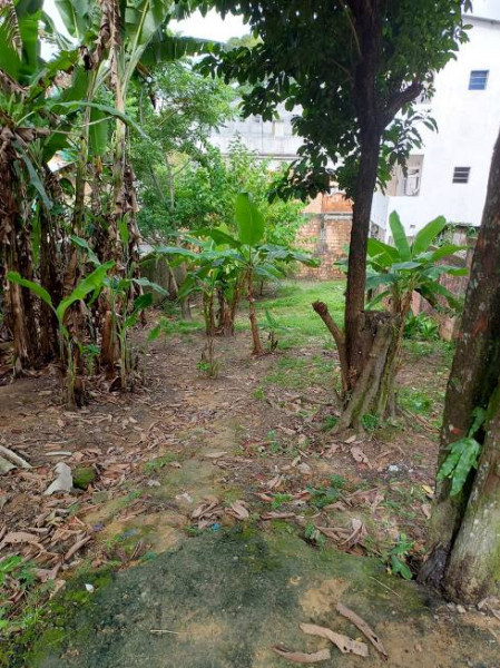 Casa à venda Adrianópolis com 120m² e 3 quartos por R$ 800.000 - 1838336159-casa-9.jpg