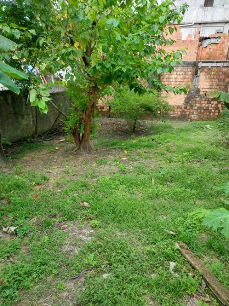 Casa à venda Adrianópolis com 120m² e 3 quartos por R$ 800.000 - 247220139-casa-8.jpg