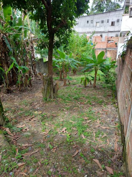 Casa à venda Adrianópolis com 120m² e 3 quartos por R$ 800.000 - 386496960-casa-7.jpg