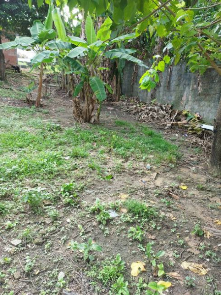 Casa à venda Adrianópolis com 120m² e 3 quartos por R$ 800.000 - 804502573-casa-6.jpg