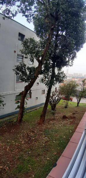 Apartamento à venda Vila Santana com 60m² e 2 quartos por R$ 300.000 - 1695024025-8ea721af-d2f7-4182-9239-34d3d776699d.jpeg