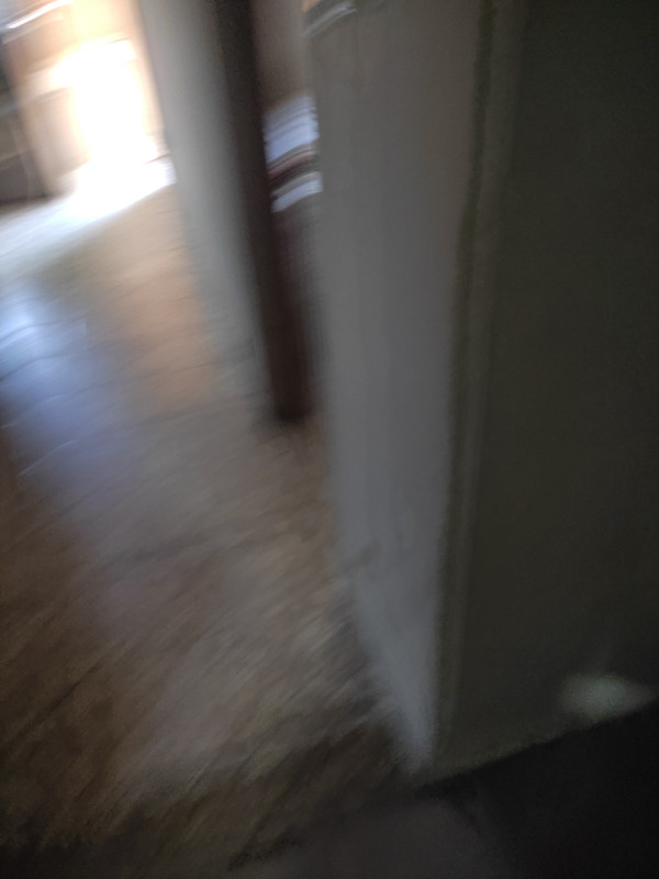 Casa à venda São João com 159m² e 5 quartos por R$ 350.000 - 1267262123-img-20230913-094442.jpg