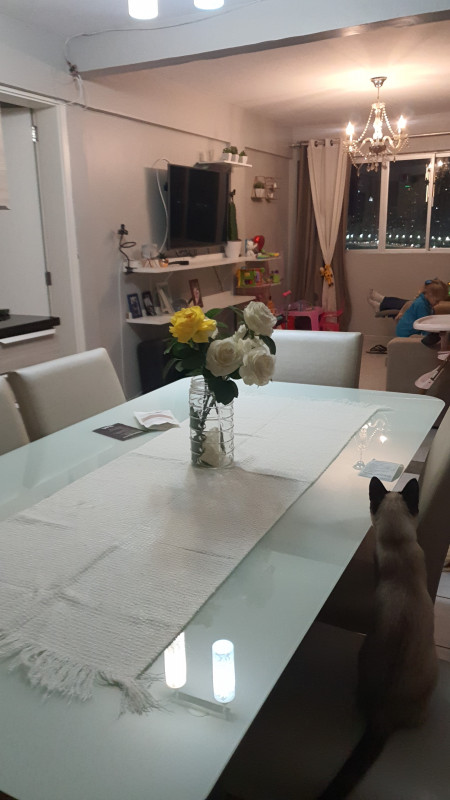 Apartamento à venda Pioneiros com 165m² e 3 quartos por R$ 2.200.000 - 1433274104-img-20230714-wa0428.jpeg